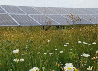 Dertien jaar duurzame energie voor ongeveer 500 huishoudens met 4500 zonnepanelen