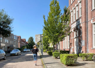 De Fahrenheitstraat van Fokko Kuik