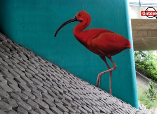 Ontdek Oost. Exotische vogels