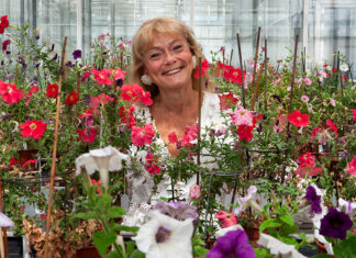 Ontdek het met bloemen