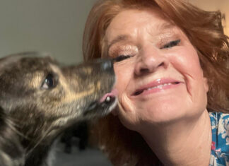 Adoptiehonden in Watergraafsmeer