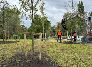 97 onveilige bomen moeten het loodje leggen. Kan dat zomaar?