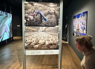 Tentoonstelling Food for Trought zet je aan tot nadenken