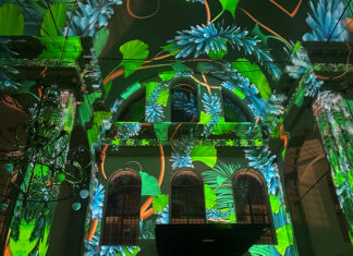 Genesis in de Oosterkerk: boeiende lichtshow die de zintuigen prikkelt