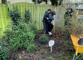 Kerstbomen krijgen tweede leven in het Plukbos op Wittenburg