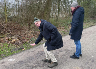 Alternatief voor dijkverhoging bij Flevopark spaart 134 bomen