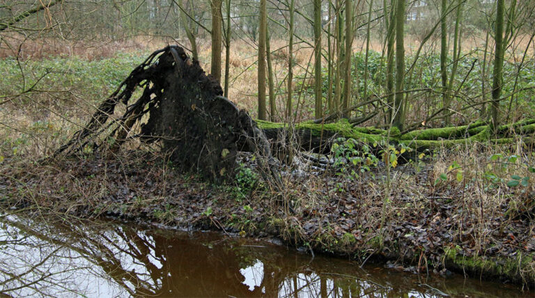 Oostommetje: Rond de begraafplaats