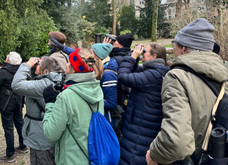 Op avontuur door vogelrijk Oost op een zonnige dag in januari