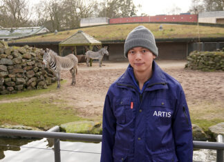 Kunstenaar Sheng-Wen Lo is twaalf maanden ‘ARTISt-in-Residence’