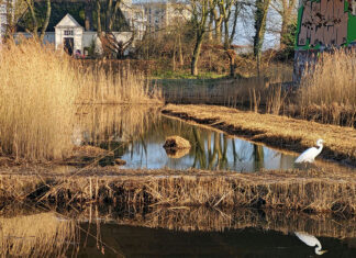 Shotje van Goost
