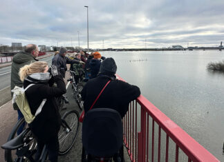 Vogelaars trekken door Oost richting Waterland