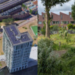 Borneo Architectuur Centrum Transitie expo