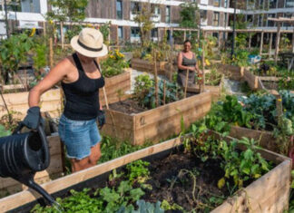 De Stichting Natuurlijk IJburg gaat ‘groene geldpot’ beheren