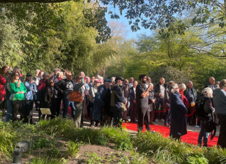 Vleermuisbloem, zuurzak, schoonmoedersstoel en vele anderen komen terug naar de Hortus
