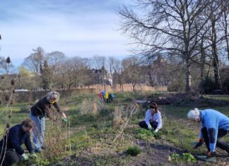 Actief in Park Frankendael