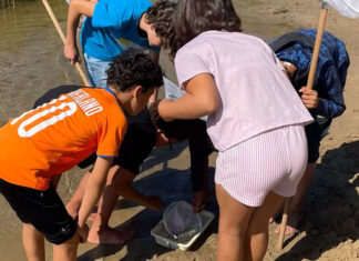 Vakantiebus houdt zomerkamp betaalbaar voor alle gezinnen