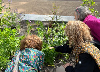 Weesperzijdetuin komt tot bloei