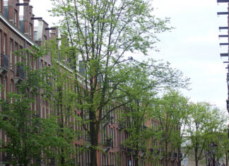 Woning verduurzamen gemakkelijker door nieuwe website