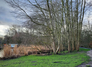 Voorkeur voor padentracé en broekbos