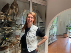 Afbeelding zonder ALT