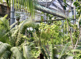 De Hortus organiseert eind augustus tweedaags Klimaatfestival