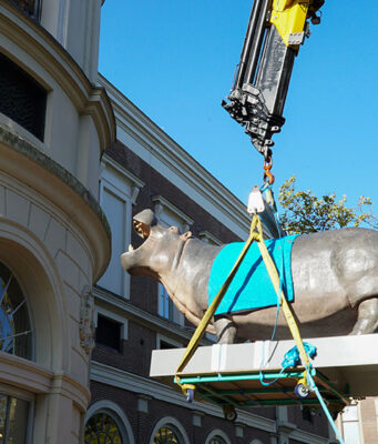 Nijlpaard Tanja is terug in Artis