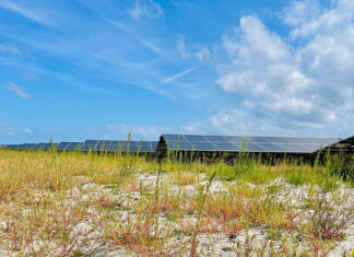Zonneweide Strandeiland levert duurzame energie én kansen voor de buurt