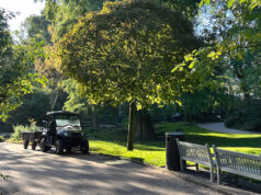 Groen erfgoed van Artis: Jan de Jong over de bomen van het park