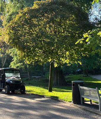 Groen erfgoed van Artis: Jan de Jong over de bomen van het park