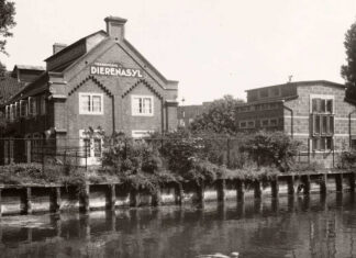 Van hondenhok tot hop