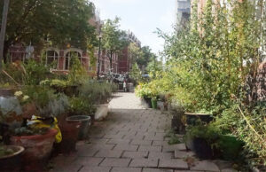 Vergroening versus toegankelijkheid