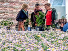 Groenmarkt bij Elixer: een levendige mix van planten, mensen en ideeën
