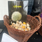 DNO Allerzielen 2025 a
