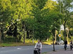 Kapplannen bedreigen 600 bomen bij Utrechtsebrug