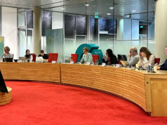 Stadsdeelcommissie: ‘Roep om een veiligere en gastvrijere openbare ruimte voor iedereen’