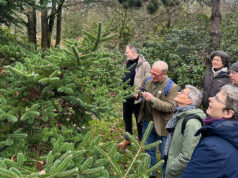 De arboretumwandeling in de Nieuwe Ooster: een park in de winter vol verhalen