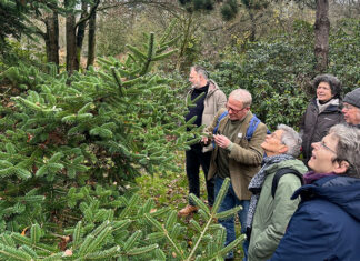 De arboretumwandeling in de Nieuwe Ooster: een park in de winter vol verhalen