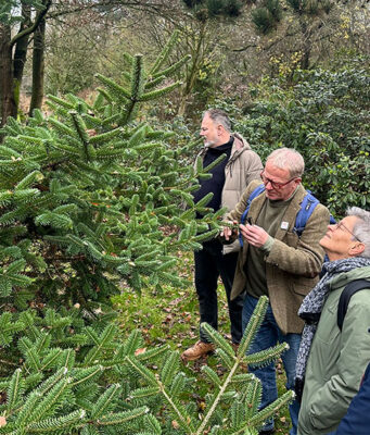 De arboretumwandeling in de Nieuwe Ooster: een park in de winter vol verhalen