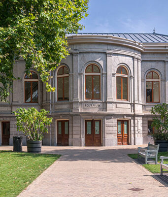 intensieve restauratie afgerond. Aquarium van Artis gaat medio juni weer open