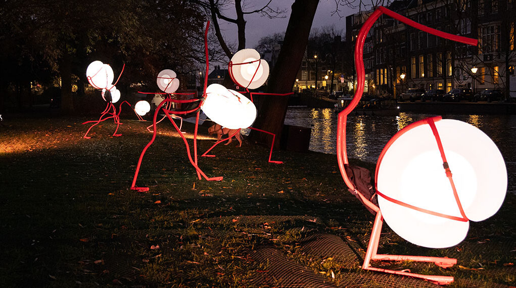 Light Festival 2025 rt xl