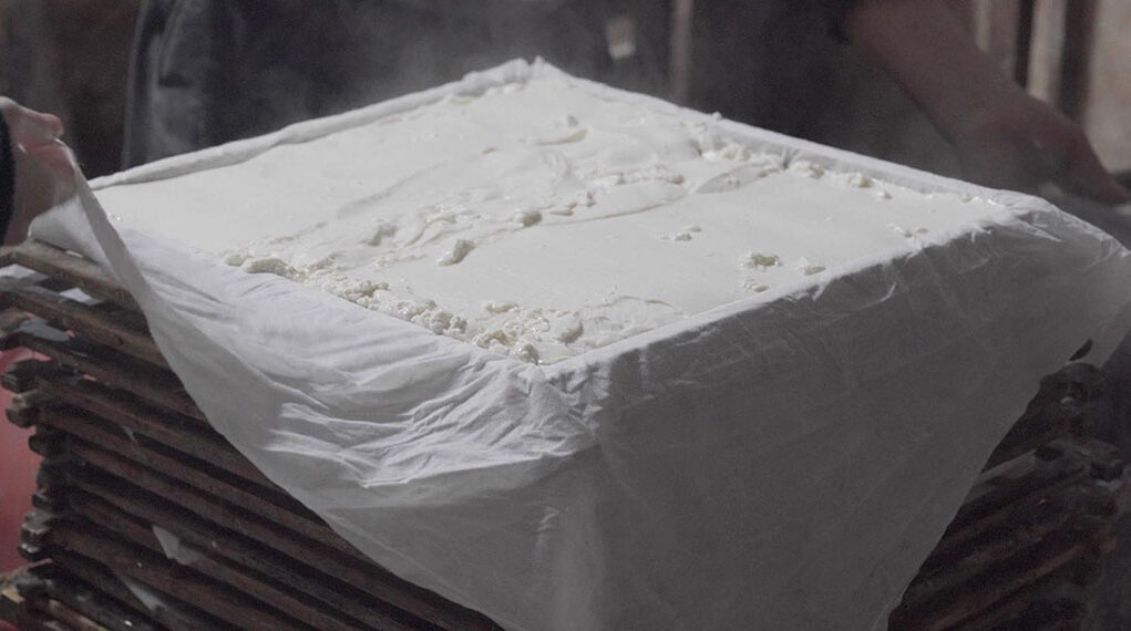 Bradwolff Double Shifts 26