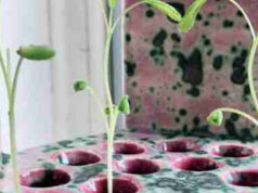 ‘Hospitality’ ziet kunst als een ruimte voor reflectie, ontmoeting en dialoog over tbc