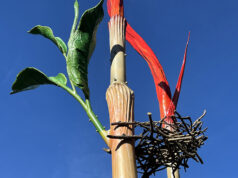 Kunstwerken Cruquiuseiland officieel onthuld