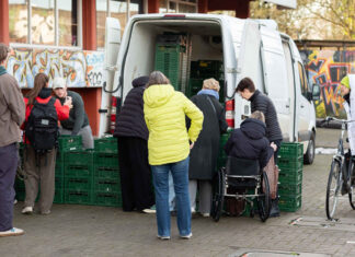 ‘Supermarktketens willen geen kromme komkommers’