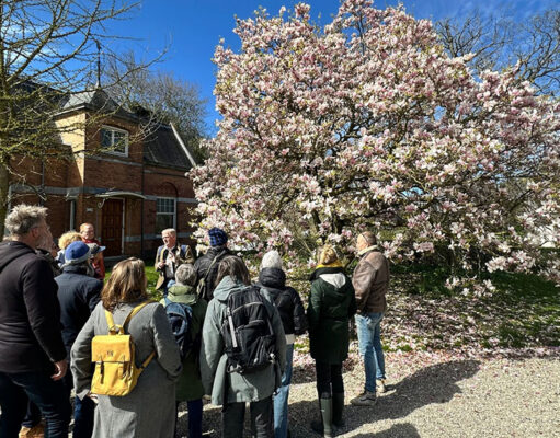 Voorjaar tussen bloei en bestuiving in aboretum