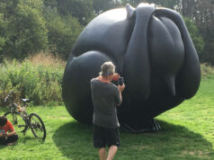 Angsthaas mag in Flevopark blijven