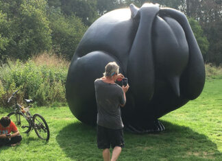 Angsthaas mag in Flevopark blijven
