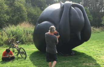Angsthaas mag in Flevopark blijven