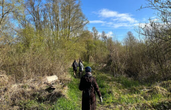 Pop-up vogelexcursie van IJburg via Diemerpark naar Vijfhoek