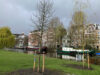 Bomen van Feest aan de Ring nu op plek in de stad